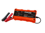 Cargador mantenedor bateria 9991004 12v 2A.