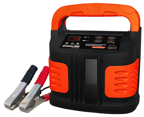 Cargador mantenedor bateria 9991018